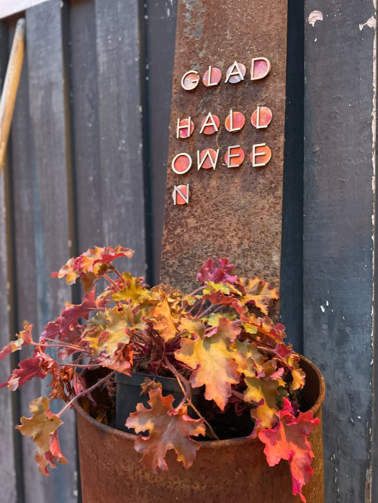 CIRKEL Magnetbokstäver D30mm